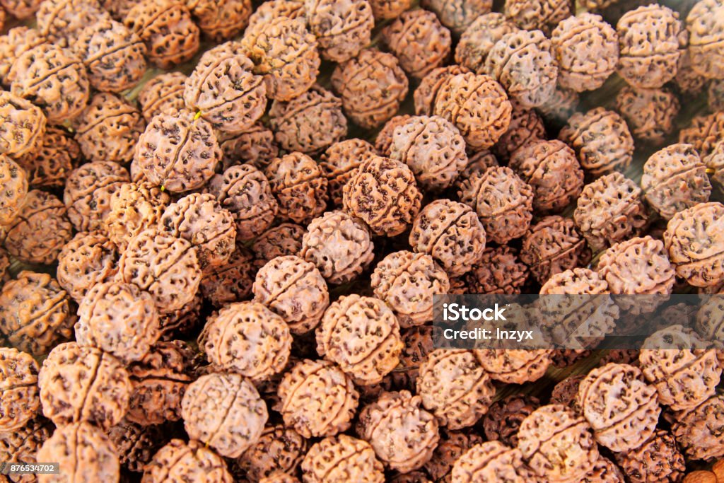 Walnut beads and bracelet, closeup of photo